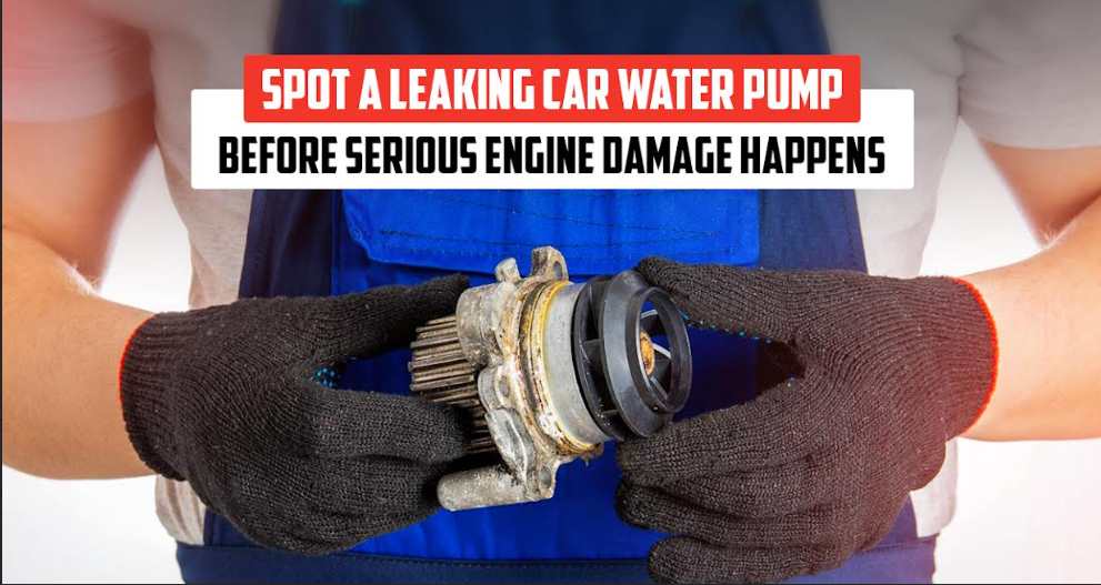 Learn Early Signs on How to Spot a Leaking Car Water Pump
